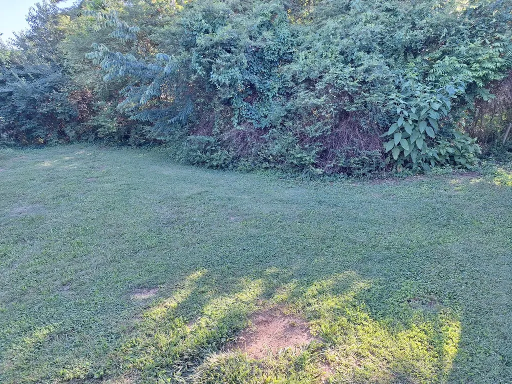 205 Harrill Street Madisonville TN 37354