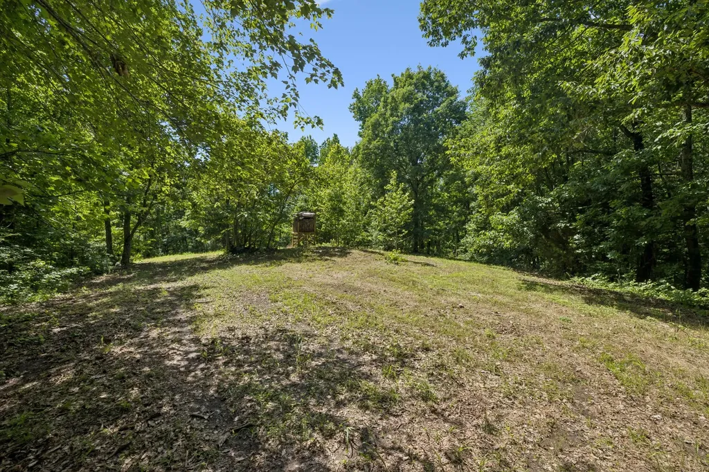 1343 Chalk Hollow Lane Waverly TN 37185