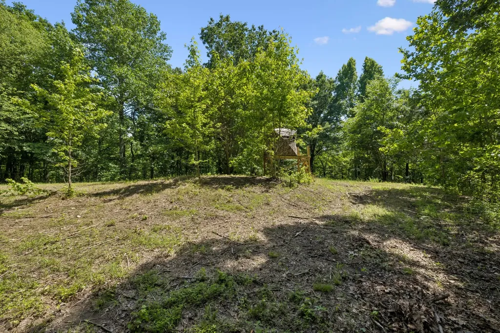 1343 Chalk Hollow Lane Waverly TN 37185