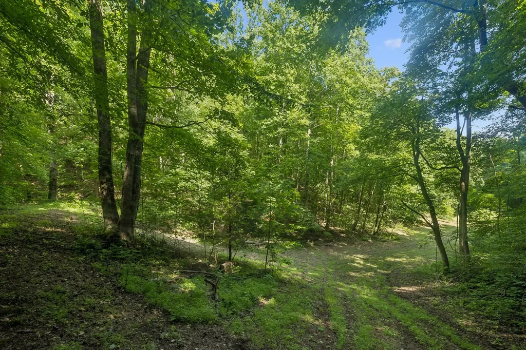 1343 Chalk Hollow Lane Waverly TN 37185
