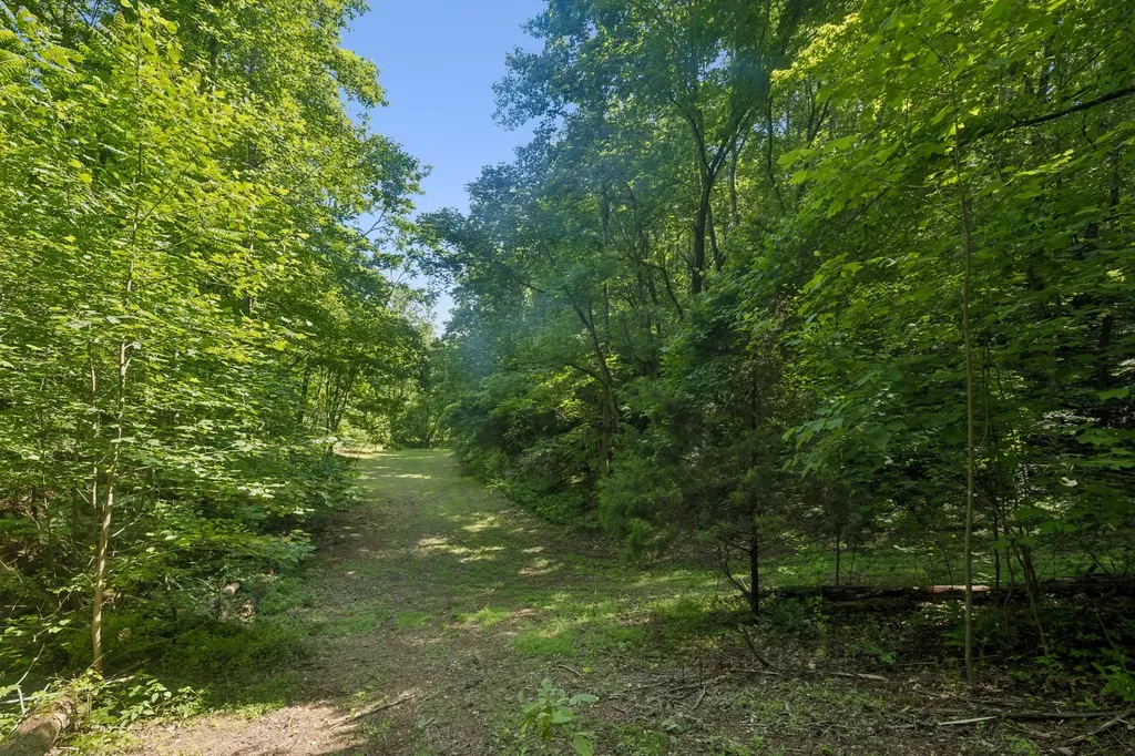1343 Chalk Hollow Lane Waverly TN 37185