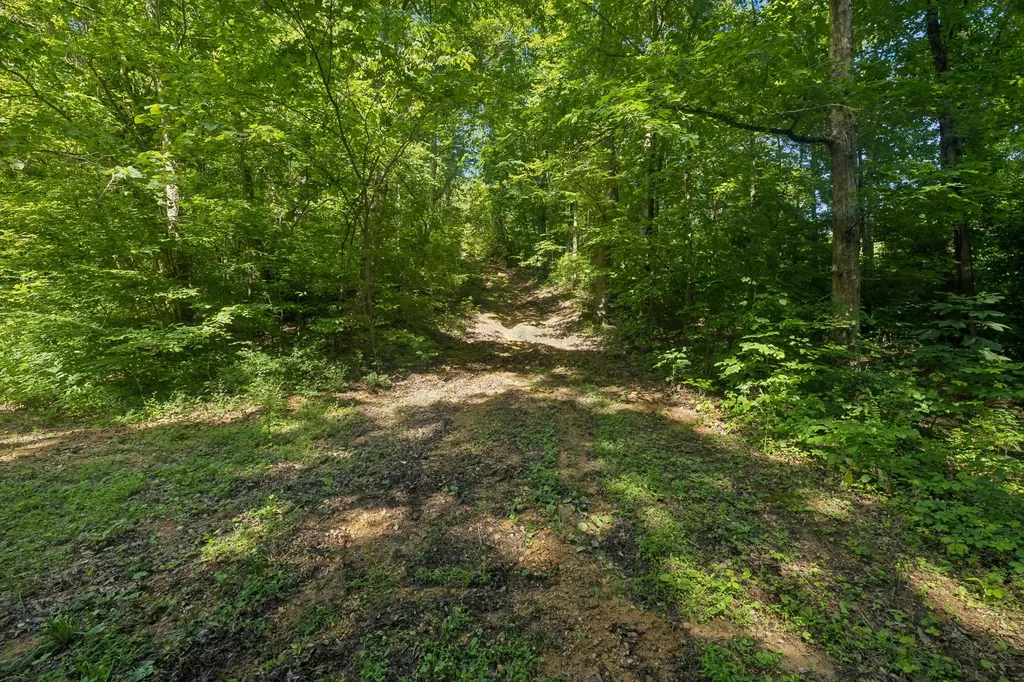 1343 Chalk Hollow Lane Waverly TN 37185