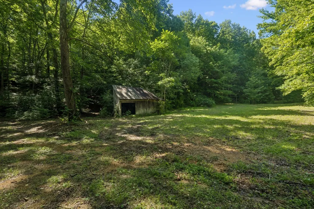 1343 Chalk Hollow Lane Waverly TN 37185