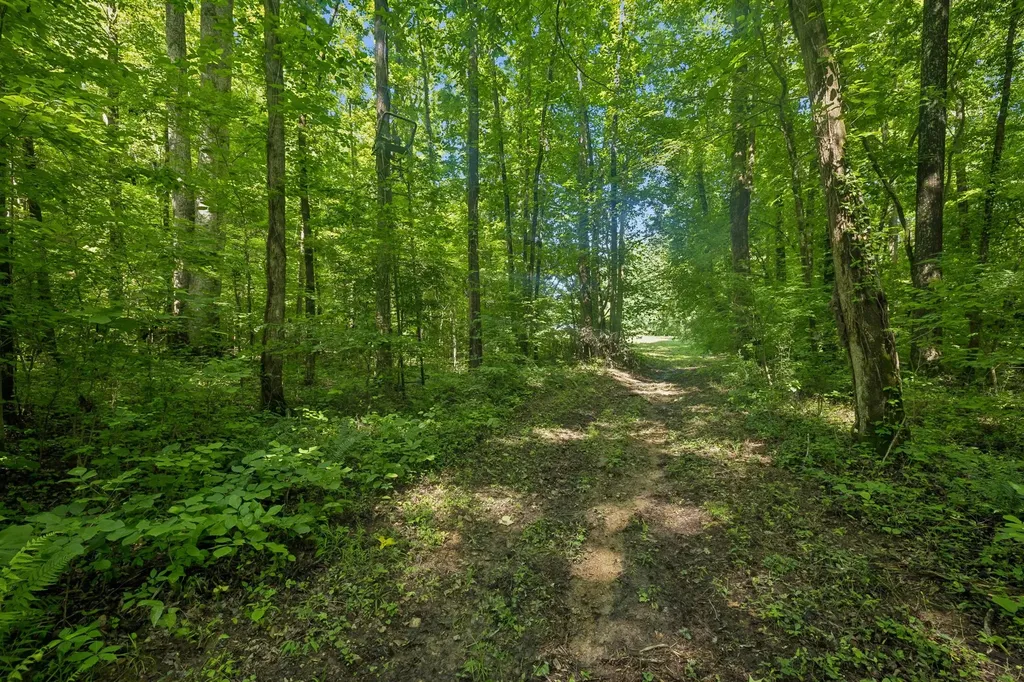 1343 Chalk Hollow Lane Waverly TN 37185