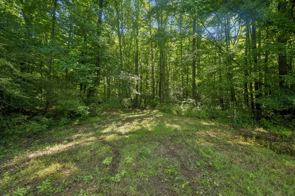 1343 Chalk Hollow Lane Waverly TN 37185