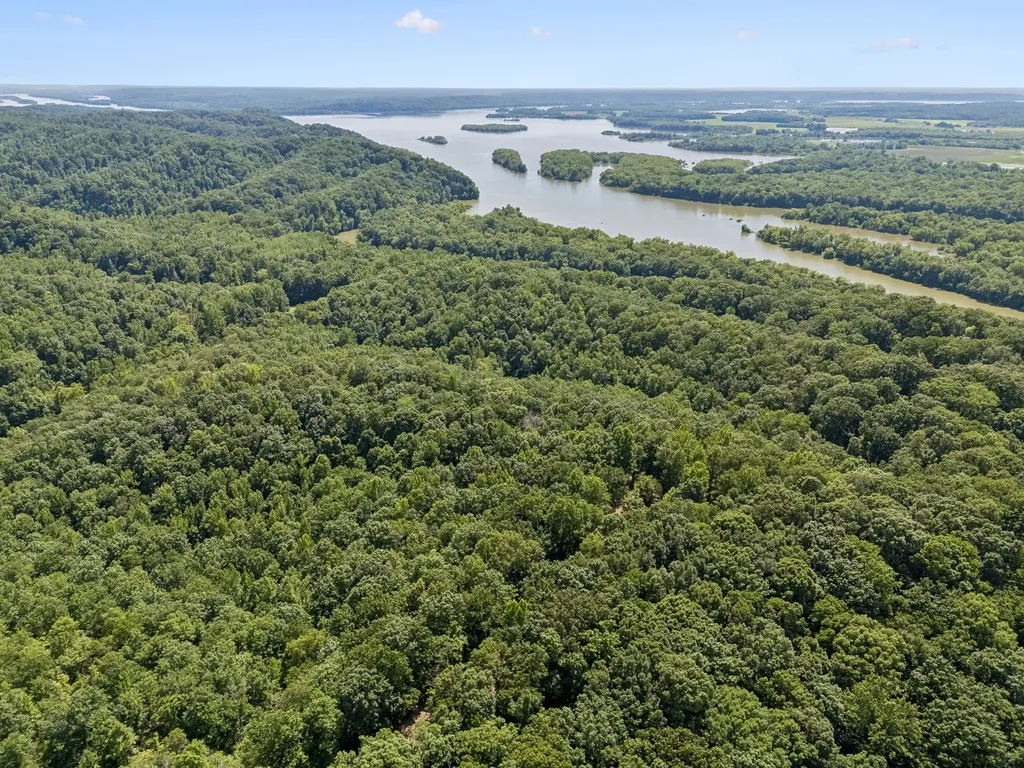 1343 Chalk Hollow Lane Waverly TN 37185