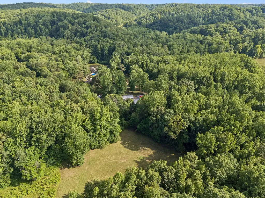 1343 Chalk Hollow Lane Waverly TN 37185