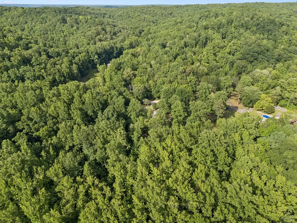 1343 Chalk Hollow Lane Waverly TN 37185