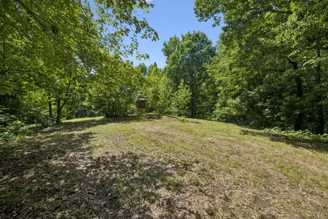 1343 Chalk Hollow Lane Waverly TN 37185