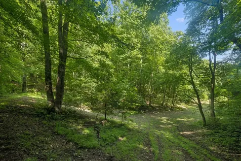 1343 Chalk Hollow Lane Waverly TN 37185