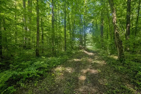 1343 Chalk Hollow Lane Waverly TN 37185