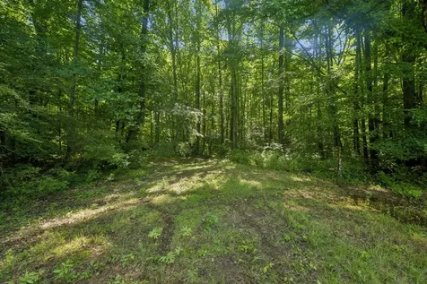 1343 Chalk Hollow Lane Waverly TN 37185