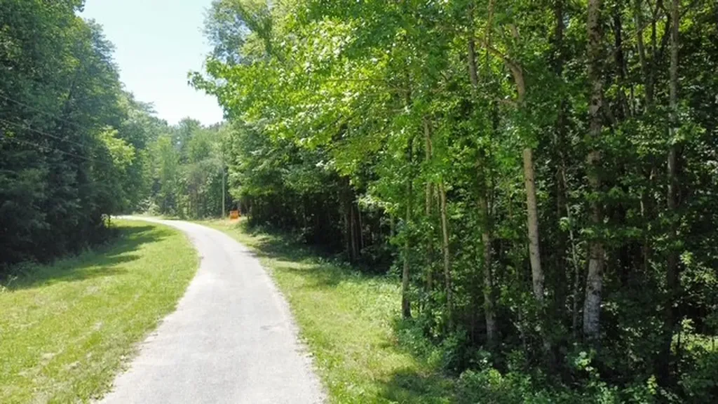 430 Petty Drive Linden TN 37096