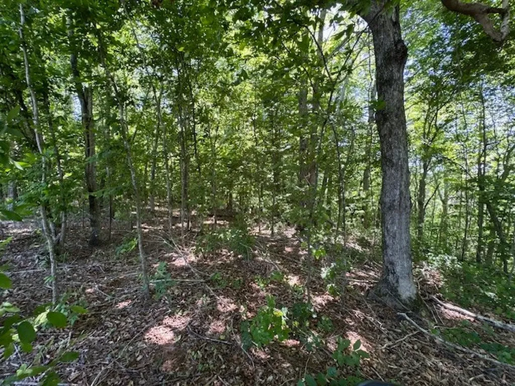 430 Petty Drive Linden TN 37096