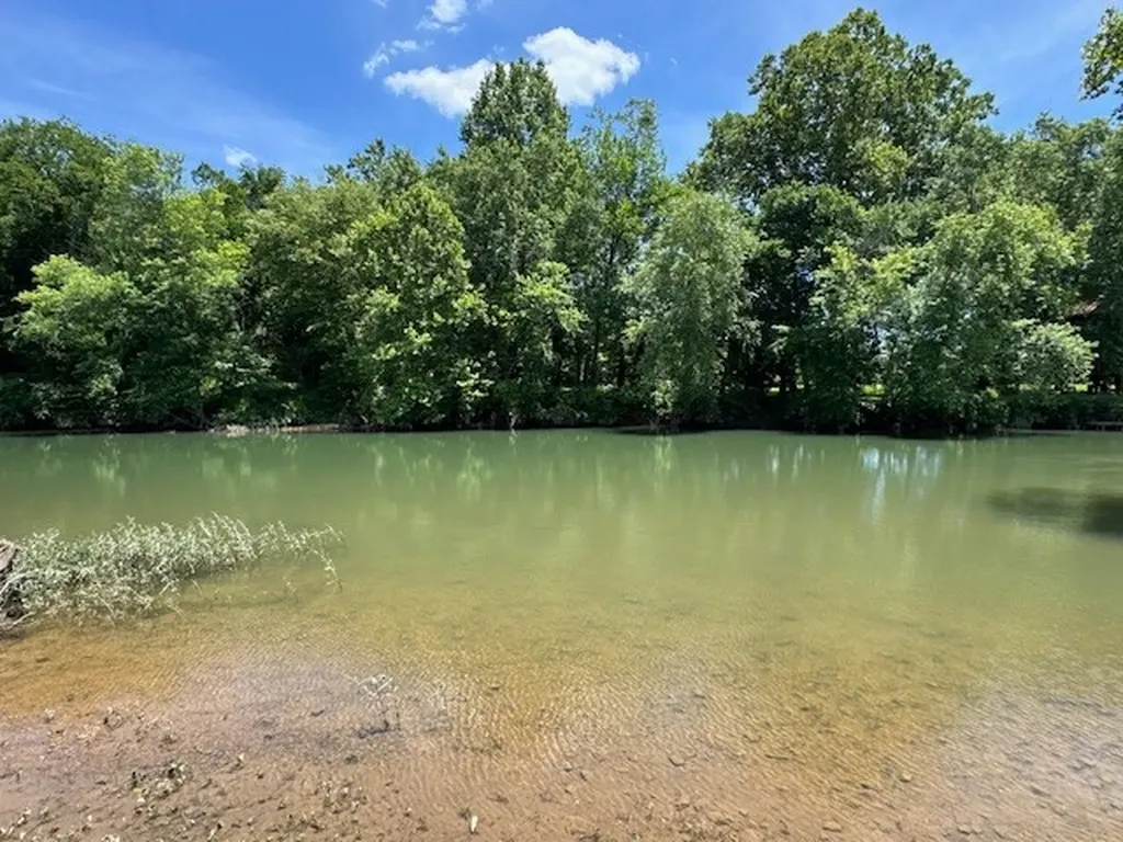 430 Petty Drive Linden TN 37096
