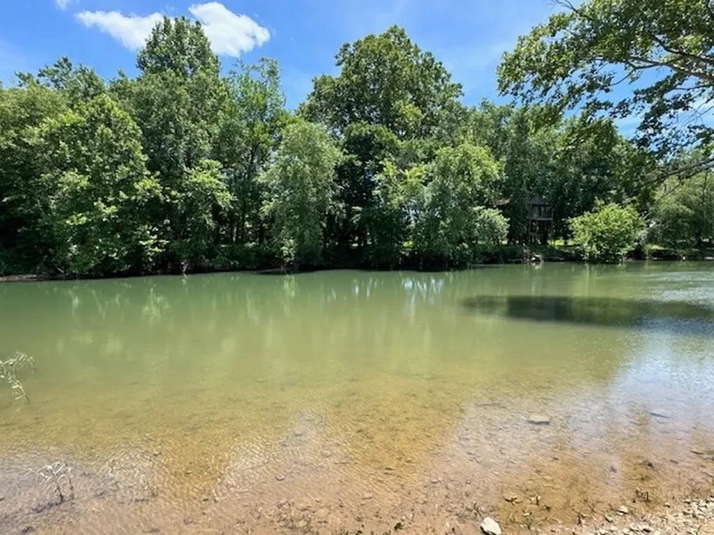 430 Petty Drive Linden TN 37096