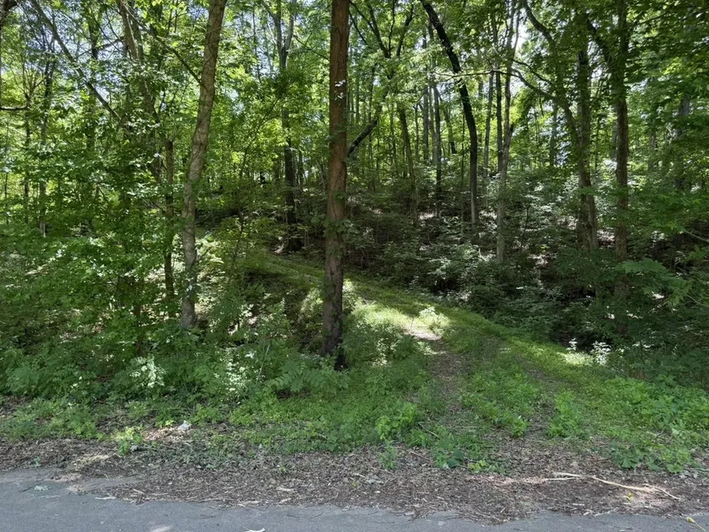 1271 Freeman Loop Cumberland Furnace TN 37051