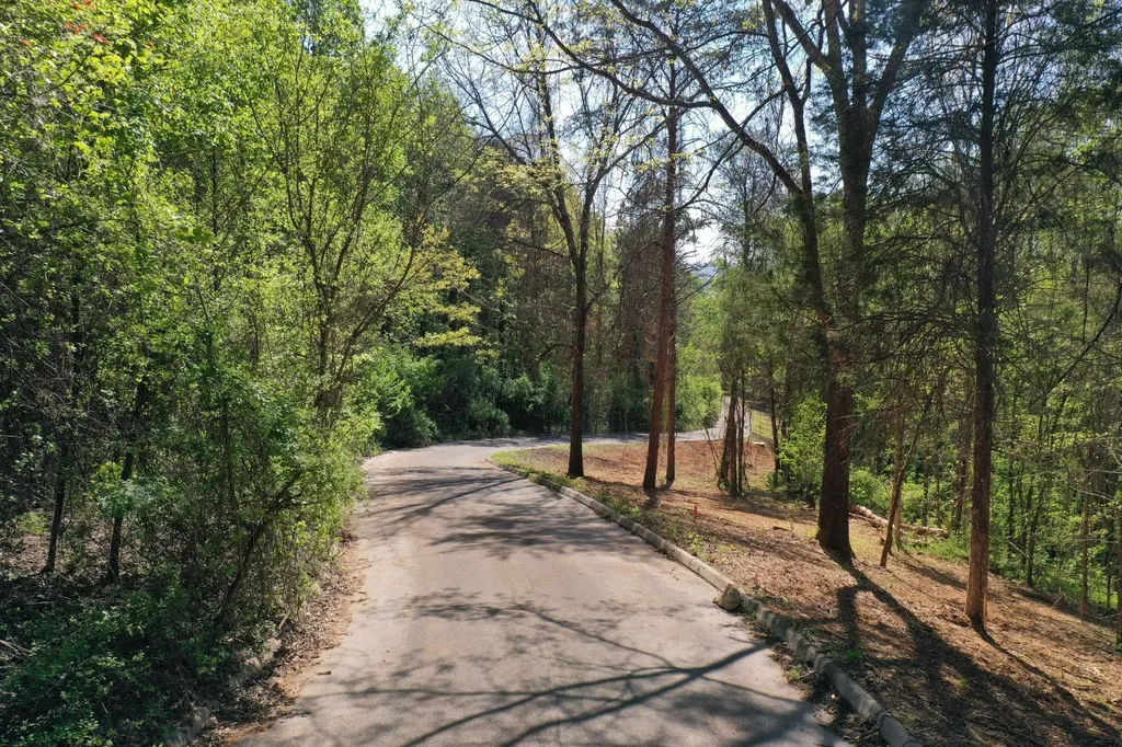0 Lot 14 Elm Lane Sweetwater TN 37874