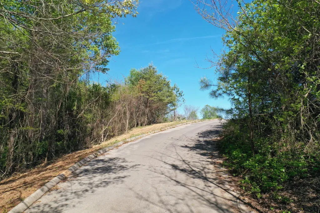 0 Lot 14 Elm Lane Sweetwater TN 37874