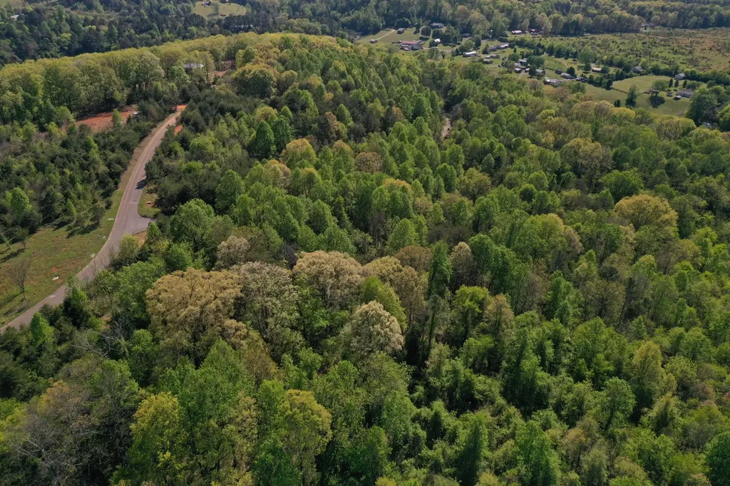 0 Lot 14 Elm Lane Sweetwater TN 37874