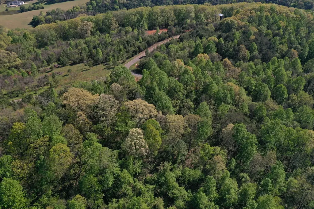 0 Lot 14 Elm Lane Sweetwater TN 37874