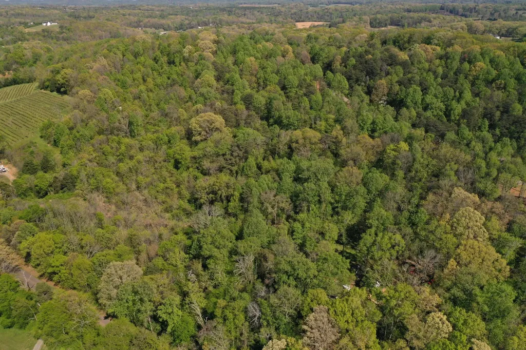 0 Lot 17 Elm Lane Sweetwater TN 37874