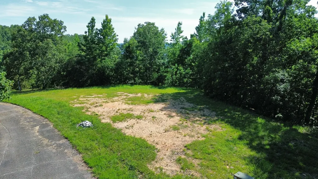 0 Forrest Crossing Waverly TN 37185