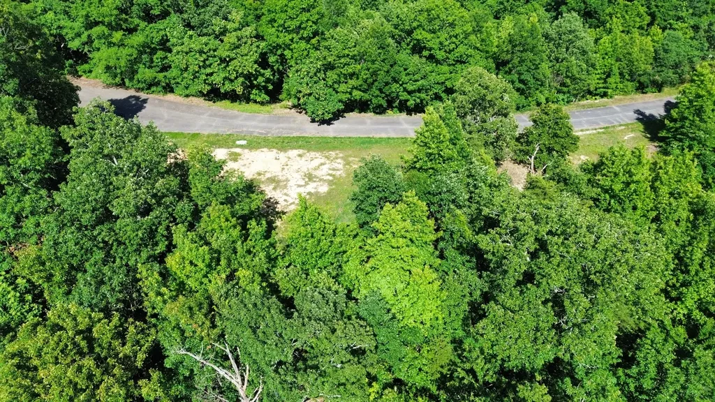 0 Forrest Crossing Waverly TN 37185