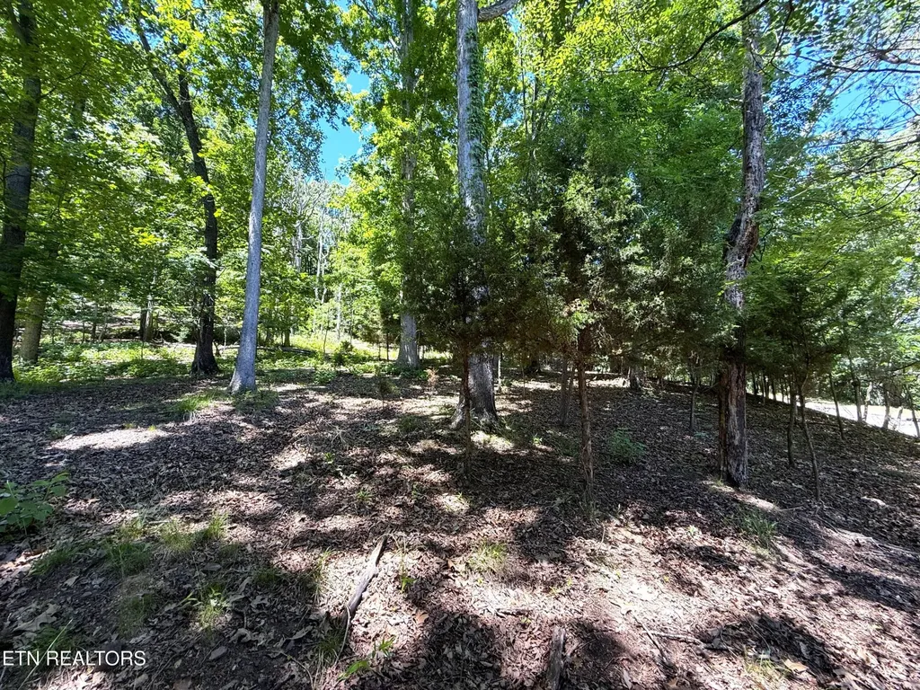 0 Harbor View Mooresburg TN 37811