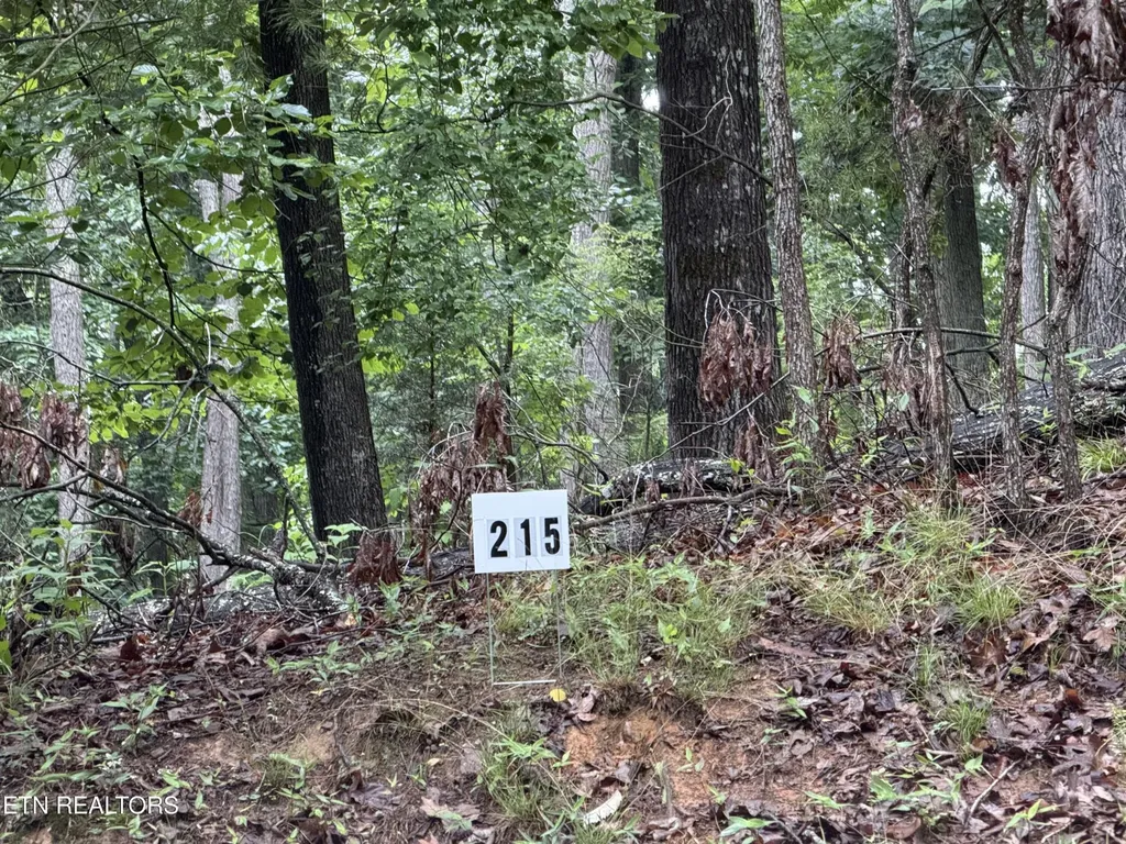 0 Harbor View Mooresburg TN 37811