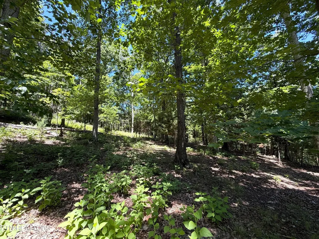 0 Harbor View Mooresburg TN 37811