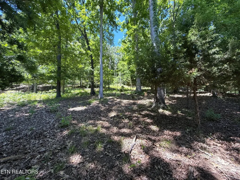0 Harbor View Mooresburg TN 37811