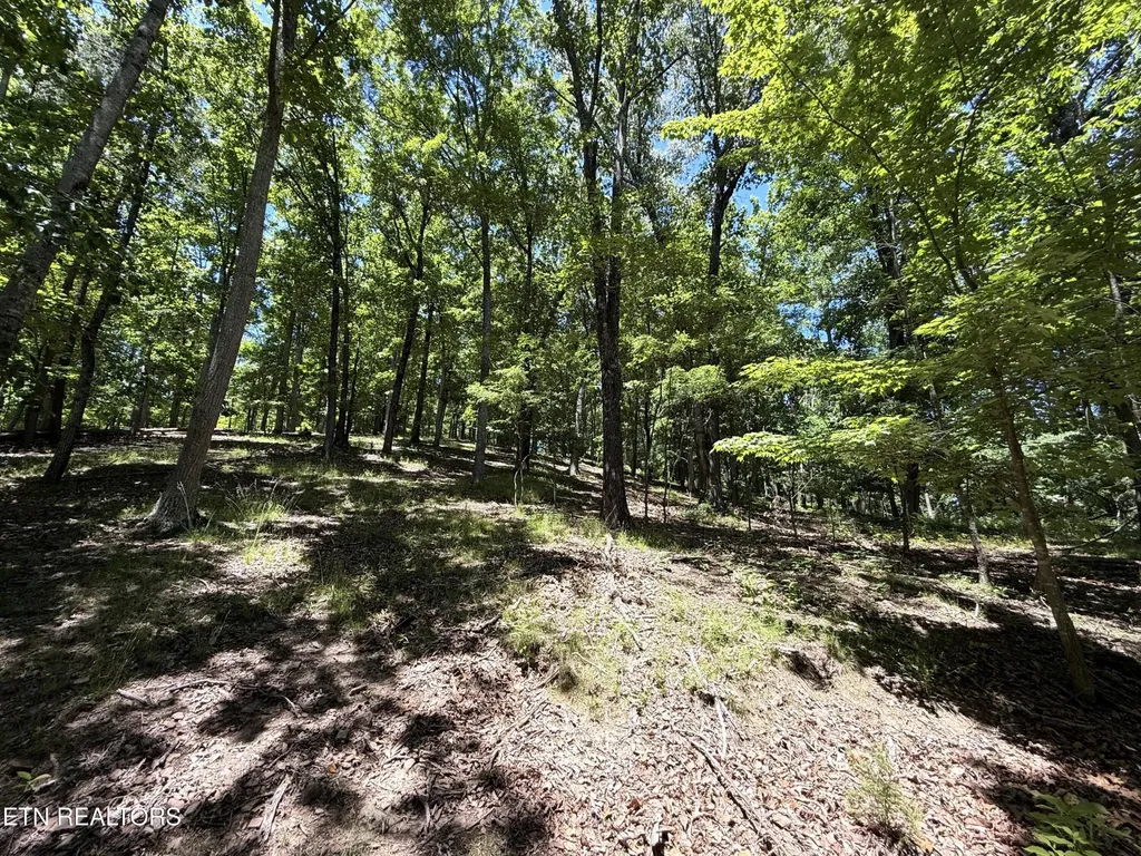 0 Harbor View Mooresburg TN 37811