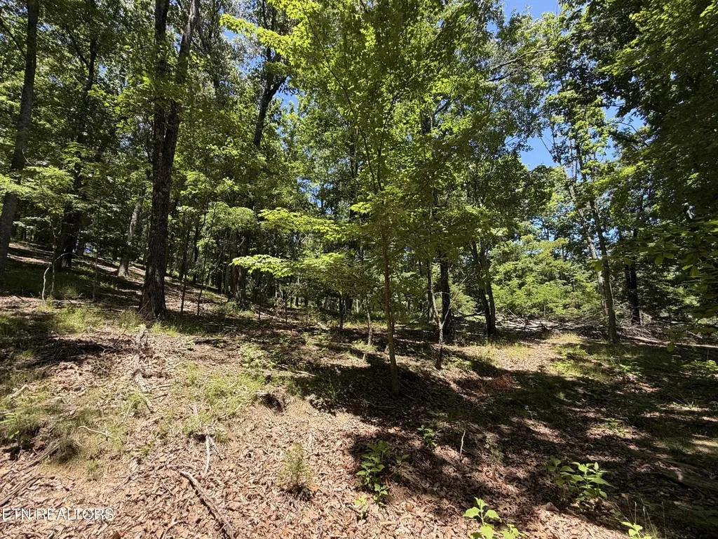 0 Harbor View Mooresburg TN 37811