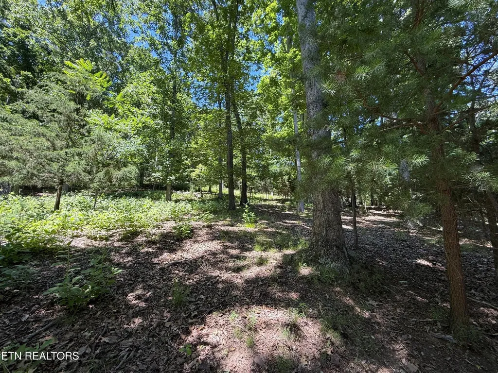 0 Harbor View Mooresburg TN 37811