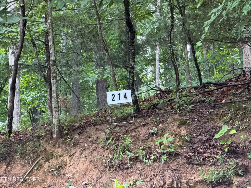 0 Harbor View Mooresburg TN 37811
