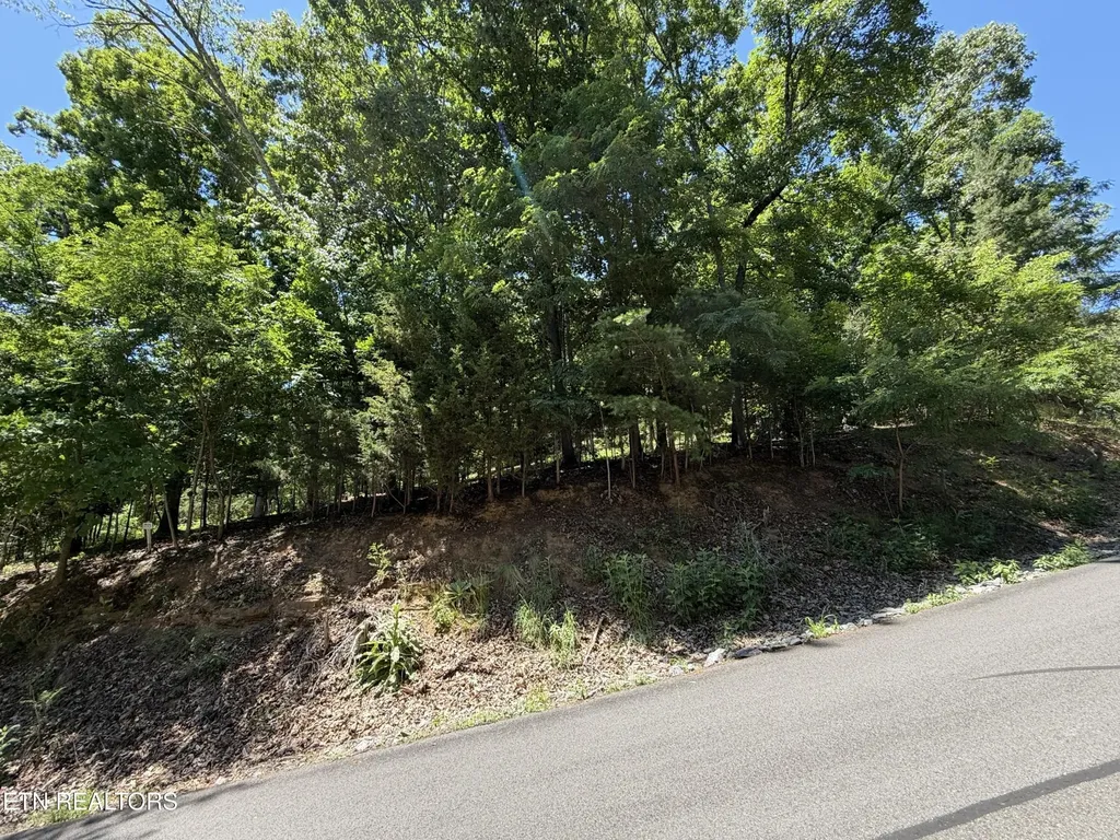 0 Harbor View Mooresburg TN 37811
