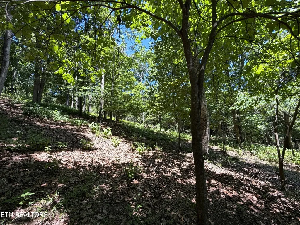 0 Harbor View Mooresburg TN 37811