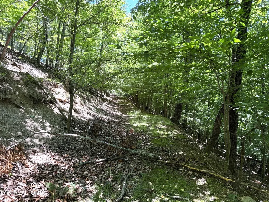 0 Harbor View Mooresburg TN 37811