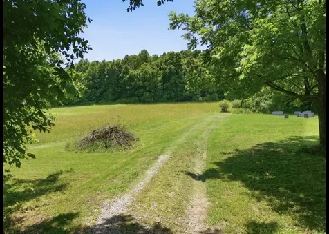 17 Dog Branch Road, S Pleasant Shade TN 37145