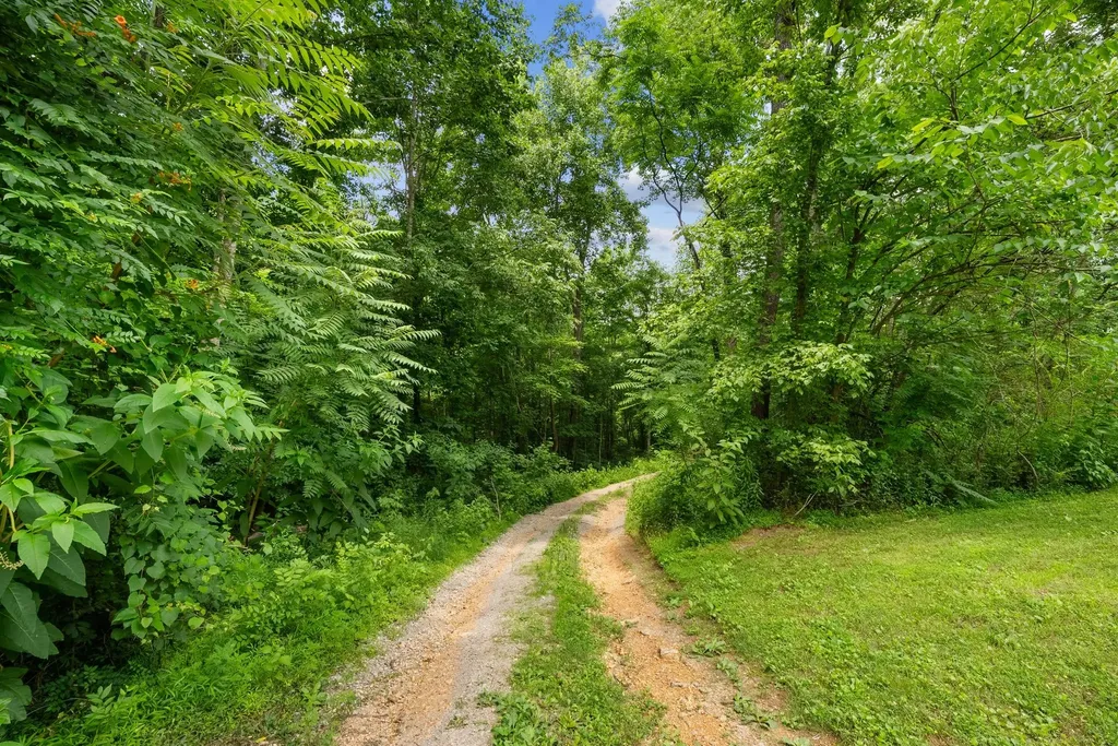 3352 R O Peach Road Columbia TN 38401