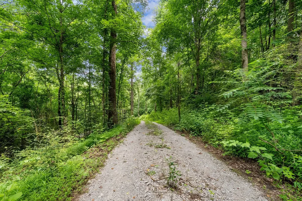 3352 R O Peach Road Columbia TN 38401