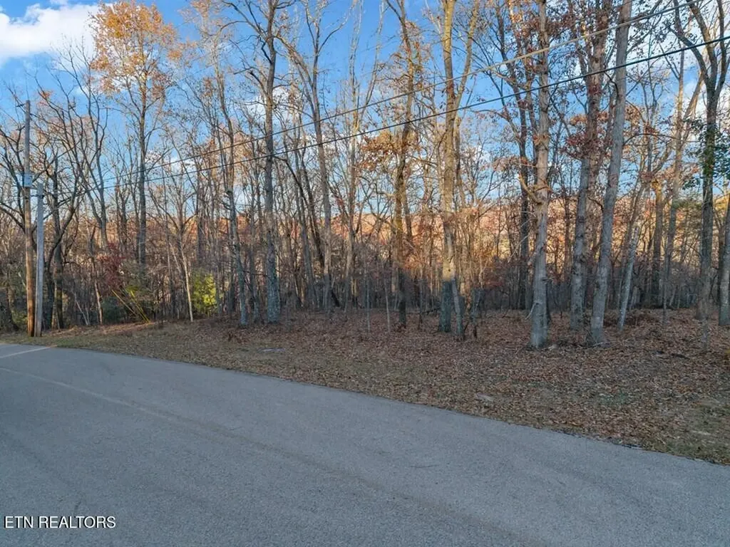 141143 Havenridge Circle Crossville TN 38558