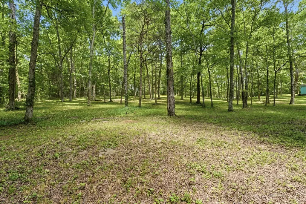 4860 Pyles Road Chapel Hill TN 37034