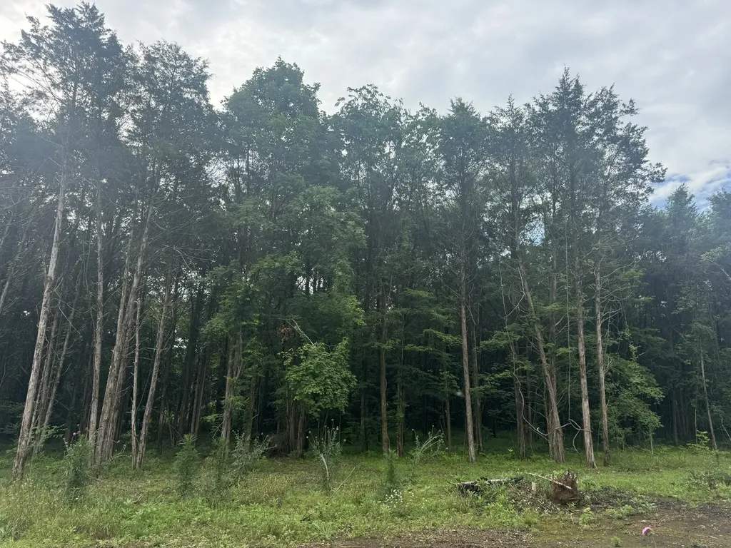 1133 Milltown Road Lewisburg TN 37091
