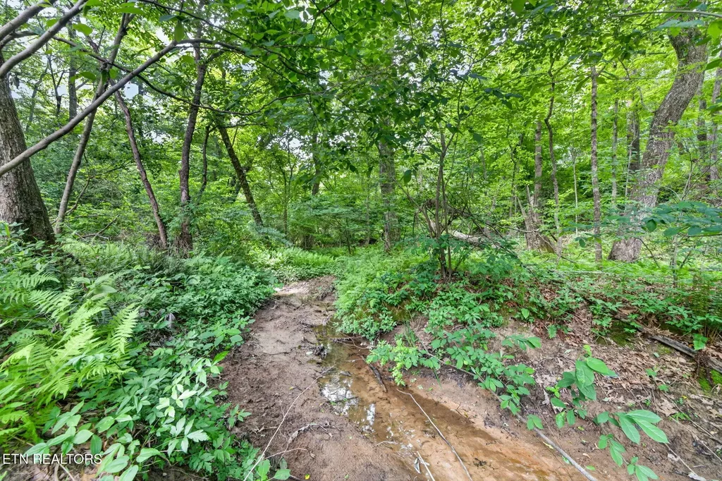 301 Hilltop Drive Crossville TN 38555