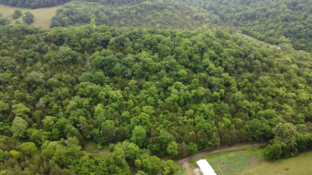 32 Patterson Lane Pleasant Shade TN 37145
