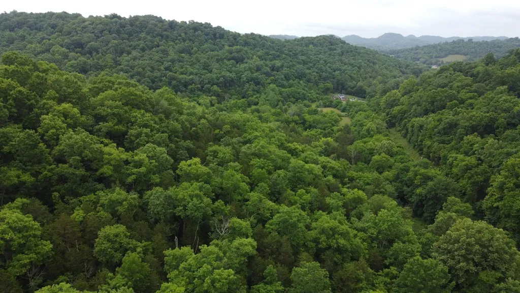 32 Patterson Lane Pleasant Shade TN 37145