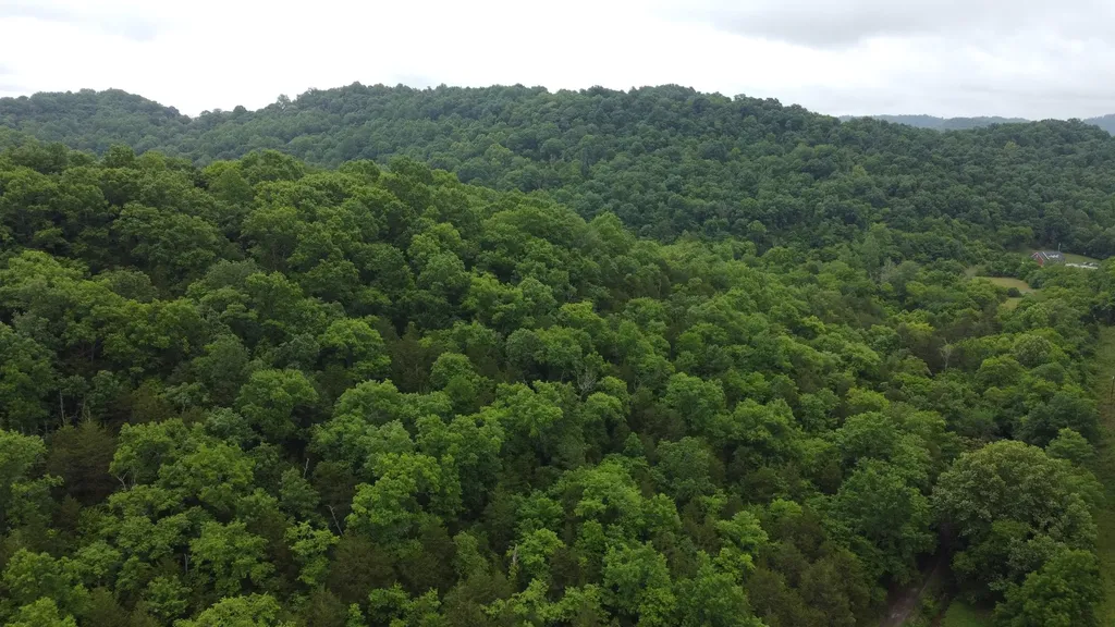32 Patterson Lane Pleasant Shade TN 37145