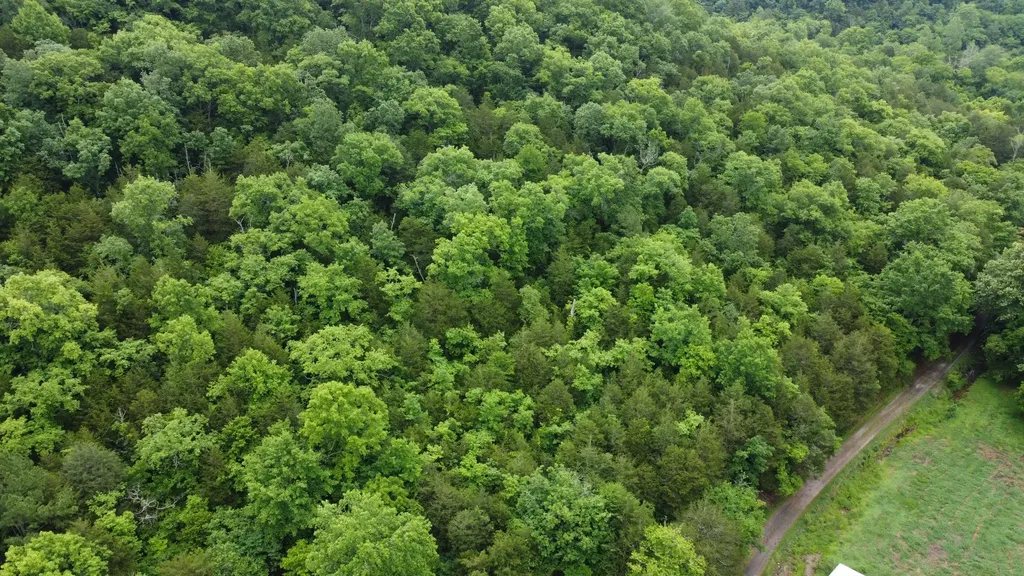 32 Patterson Lane Pleasant Shade TN 37145